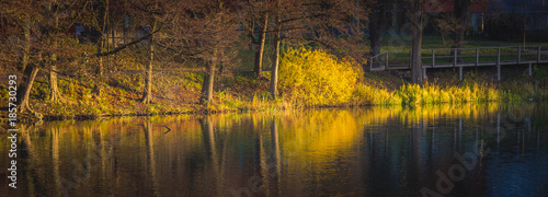 Photography Stockholm Fall Foliage at Sunrise