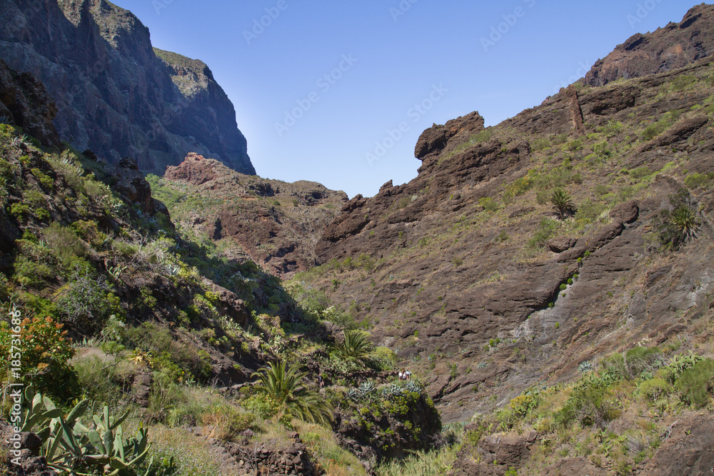 Beautiful nature at Tenerife. Sun and warm weather conditions. Beautiful nature at Tenerife. Sun and warm weather conditions.