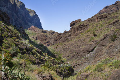 Beautiful nature at Tenerife. Sun and warm weather conditions.