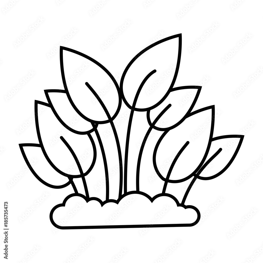 plants cultivated isolated icon vector illustration design