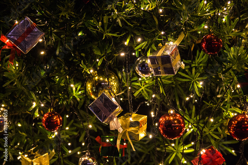 Close up of christmas tree
