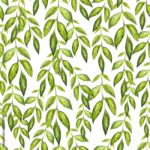 Beautiful watercolor pattern with green leaves. Illustration