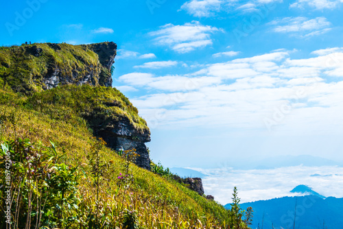 Phu Chi Fa View Point with Fog Sea in Chiangrai Province photo