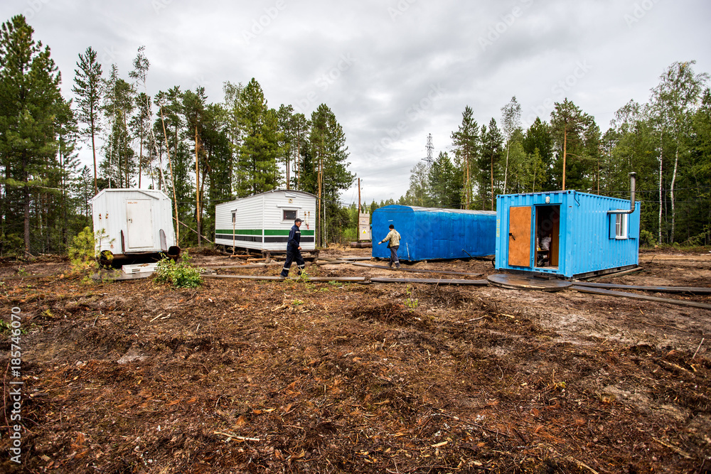 Naklejka premium Taiga