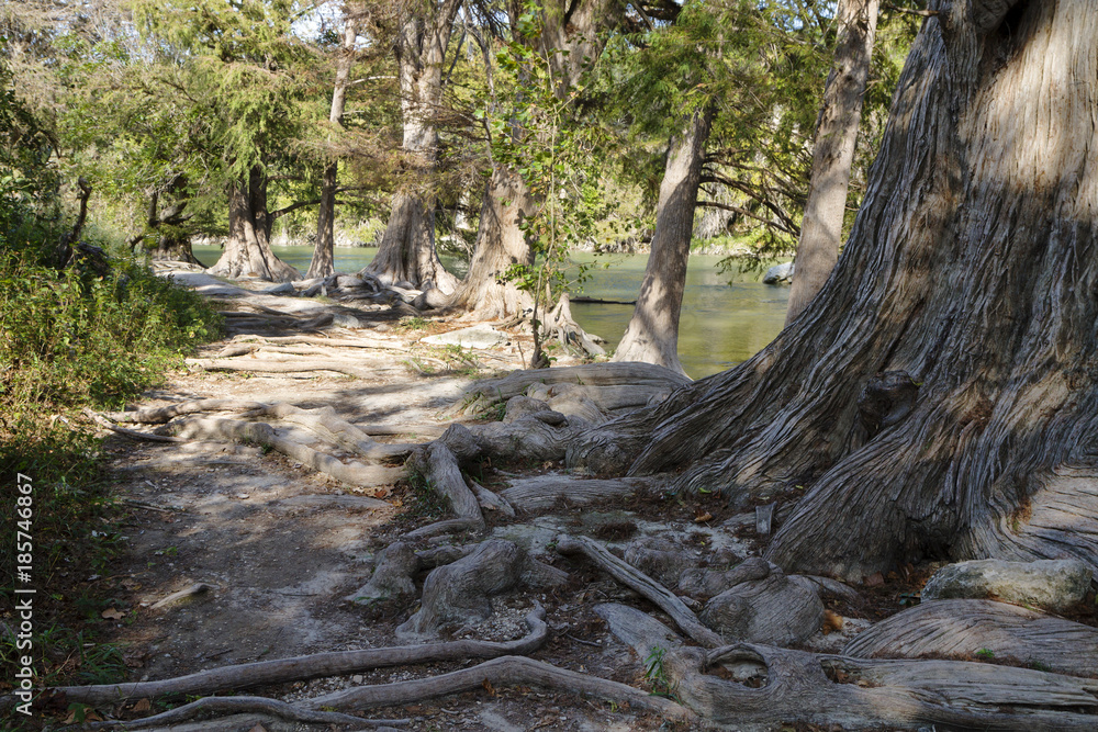 Guadalupe river