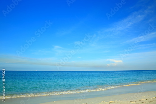 Amazing view on Eagle Beach of Aruba Island. Caribbean. Beautiful nature background.  © Alex