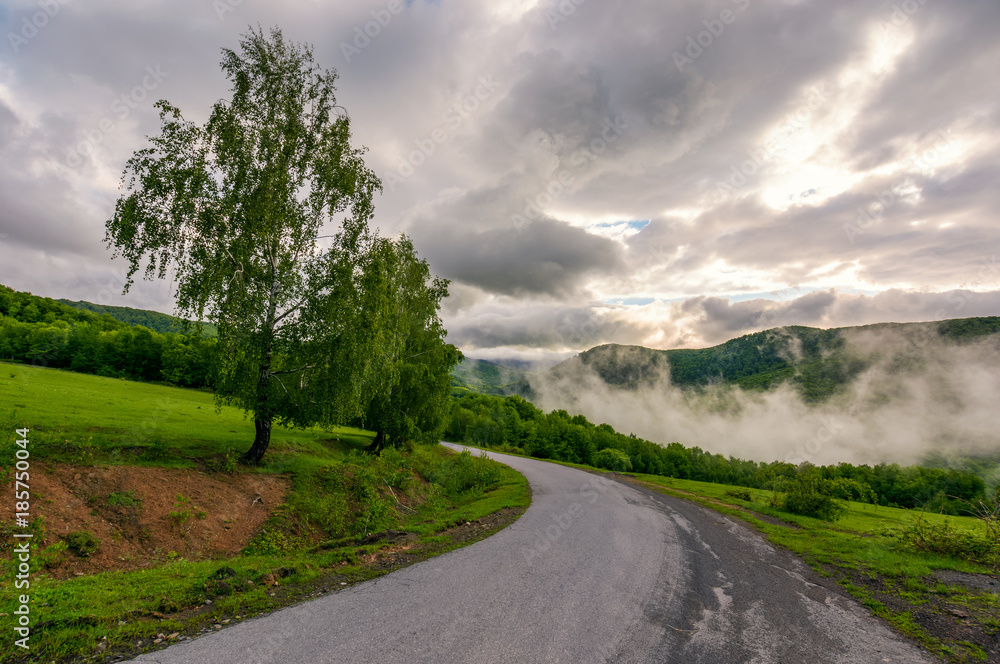 road through hillside on foggy morning. beautiful countryside landscape of Carpathian region
