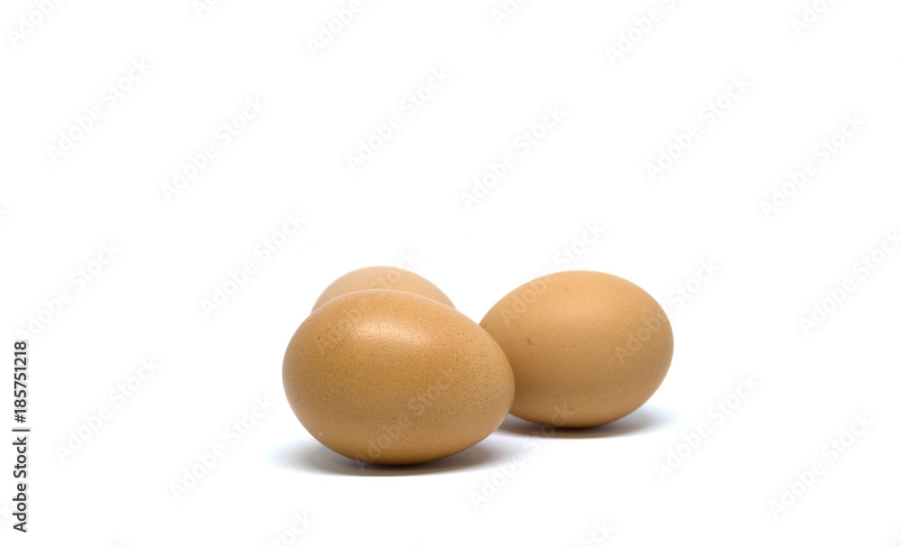 isolated eggs on white backgrounds isolated eggs on white backgrounds