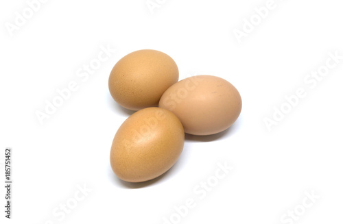 isolated eggs on white backgrounds