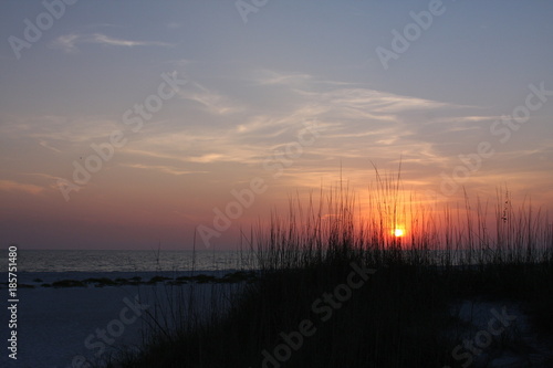 Grassy Sunset