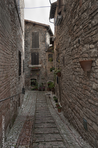 Spectacular traditional italian medieval alley in the historic center of beautiful little town of Spello  Perugia   in Umbria region -  central Italy
