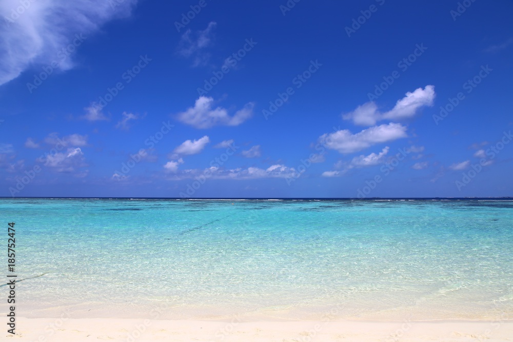 against the background of a cloud of blue sky and beautiful azure water. Maldivian landscape