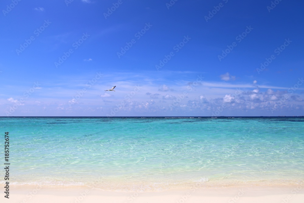against the background of a cloud of blue sky and beautiful azure water.