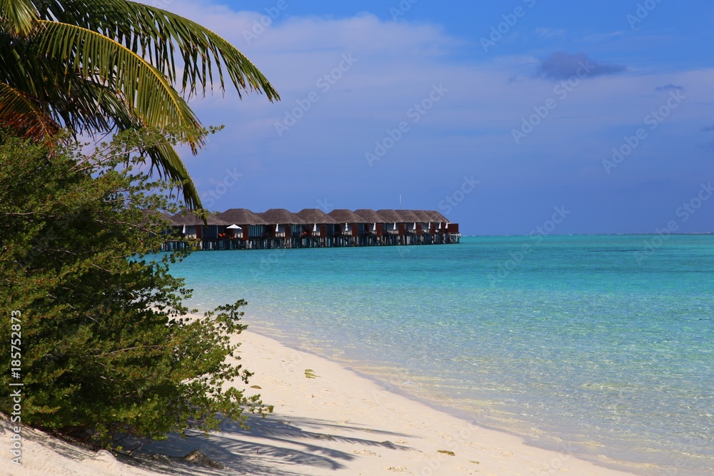 Fototapeta premium a beach with green bushes and a view of the bungalow. Maldivian landscape