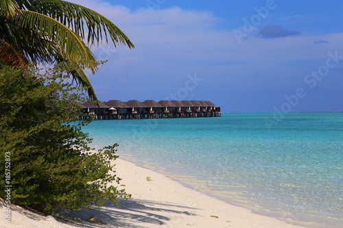 Fototapeta Naklejka Na Ścianę i Meble -  a beach with green bushes and a view of the bungalow. Maldivian landscape