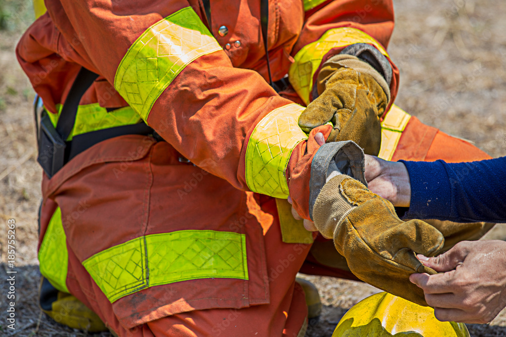 Obraz premium firefighters buddy help to wearing fire protection gloves