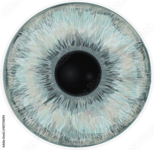 Eye iris -  Realistic vector  - Eye iris vector texture - Blue eye