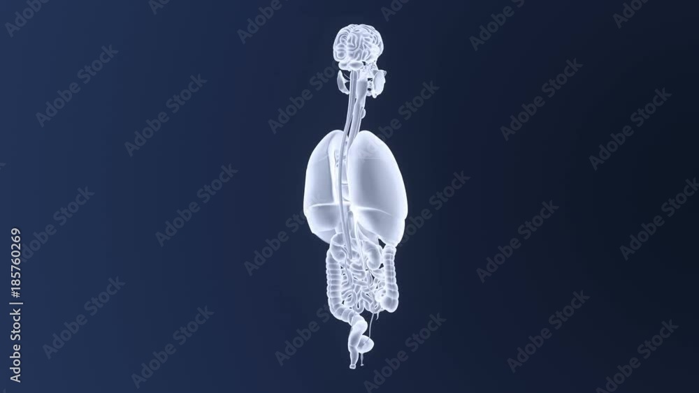 Organs Organs