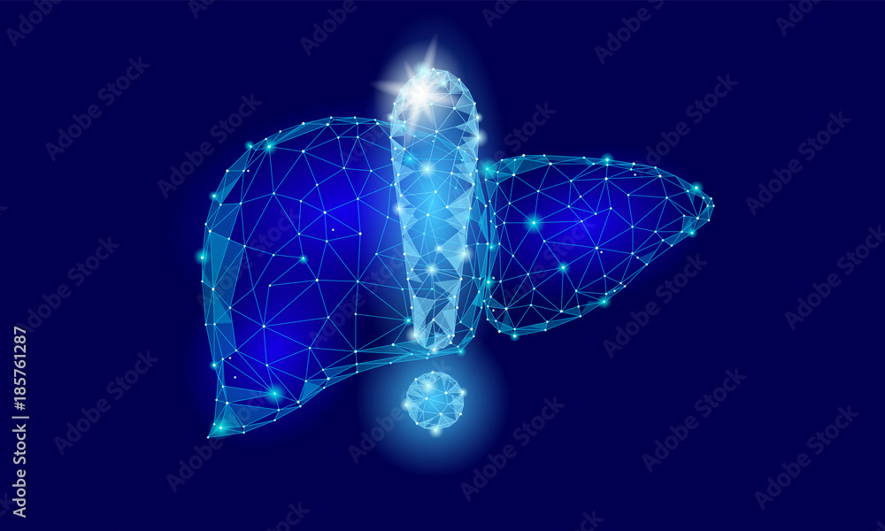 Attention health warning exclamation point liver low poly. Alert