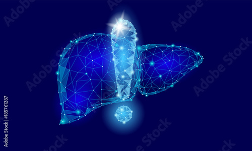 Attention health warning exclamation point liver low poly. Alert dangerous medicine disease risk cirrhosis safety protect concept. Blue triangle point line polygon vector illustration