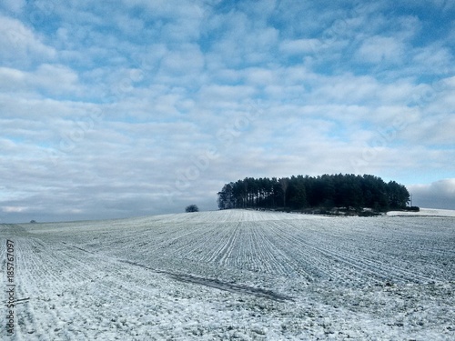 Śnieg na polu