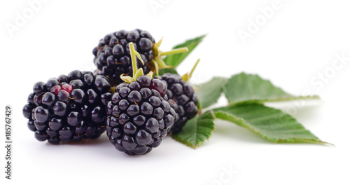 Closeup shot of fresh blackberries.