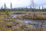 Landscape from Lapland