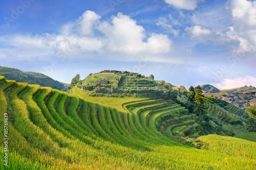 Famous rice terraces, beauty of nature, Longji, China © tonyv3112