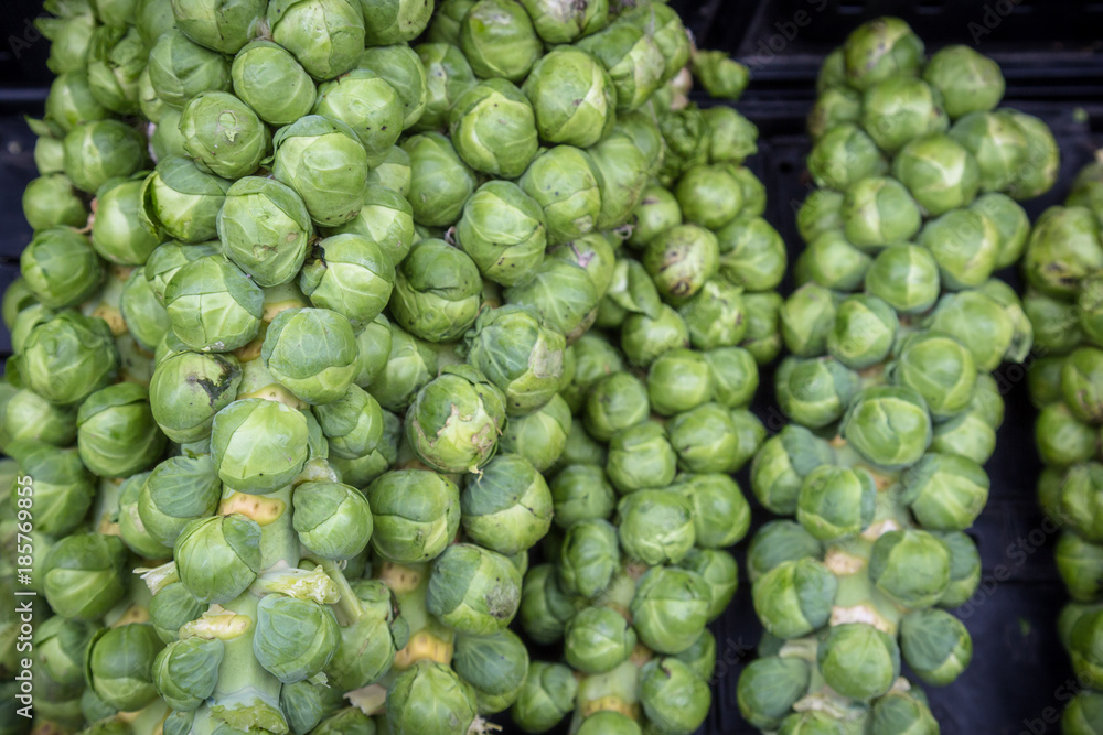 Fresh Organic Brussel Sprouts at a Local Farmer's Market Fresh Organic Brussel Sprouts at a Local Farmer's Market