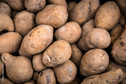 Fresh Organic Potatoes at a Local Farmer s Market