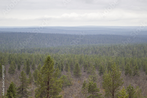 Landscape from Lapland