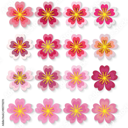 Set of cherry blossom japanese sakura  spring floral icons. Vector illustration