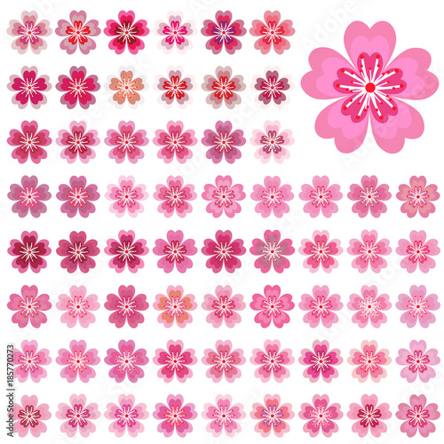Isolated flowers of sakura set. Cartoon pink and white blossoms of Japanese cherry tree. Vector clip art illustration.