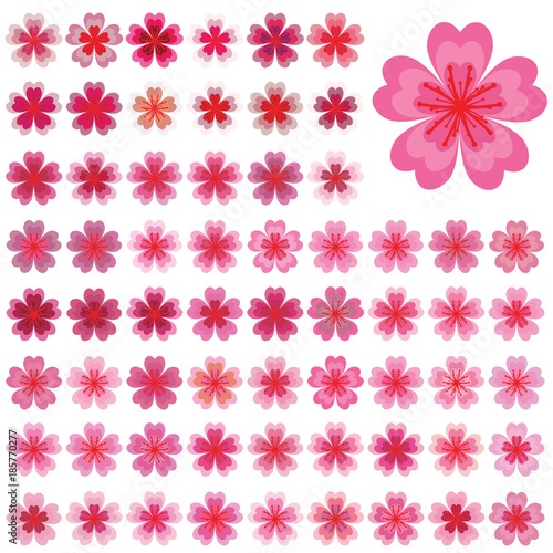 Isolated flowers of sakura set. Cartoon pink and white blossoms of Japanese cherry tree. Vector clip art illustration.