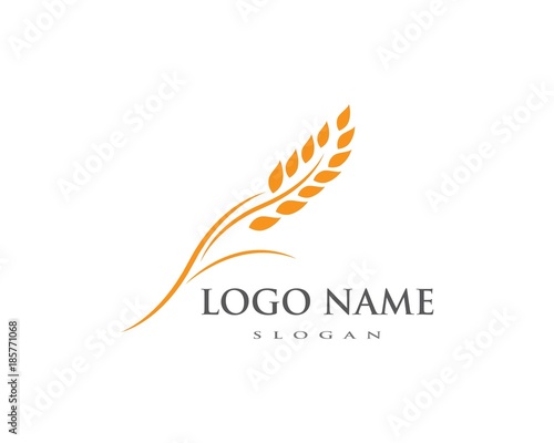 wheat Logo Template vector