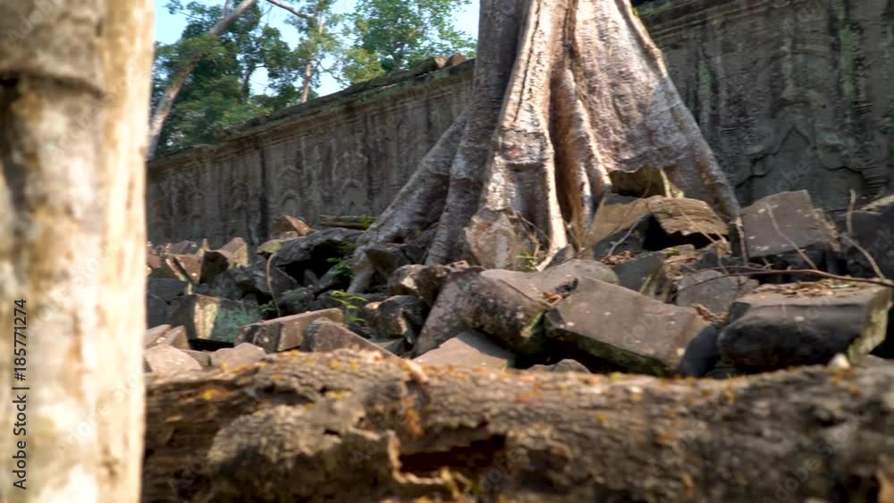Steadicam gimbal motion of Ta Prohm temple with trees growing out of it and large boulders strewn about. Steadicam gimbal motion of Ta Prohm temple with trees growing out of it and large boulders strewn about.