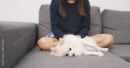 Pet owner touch on Pomeranian dog and sleep on sofa