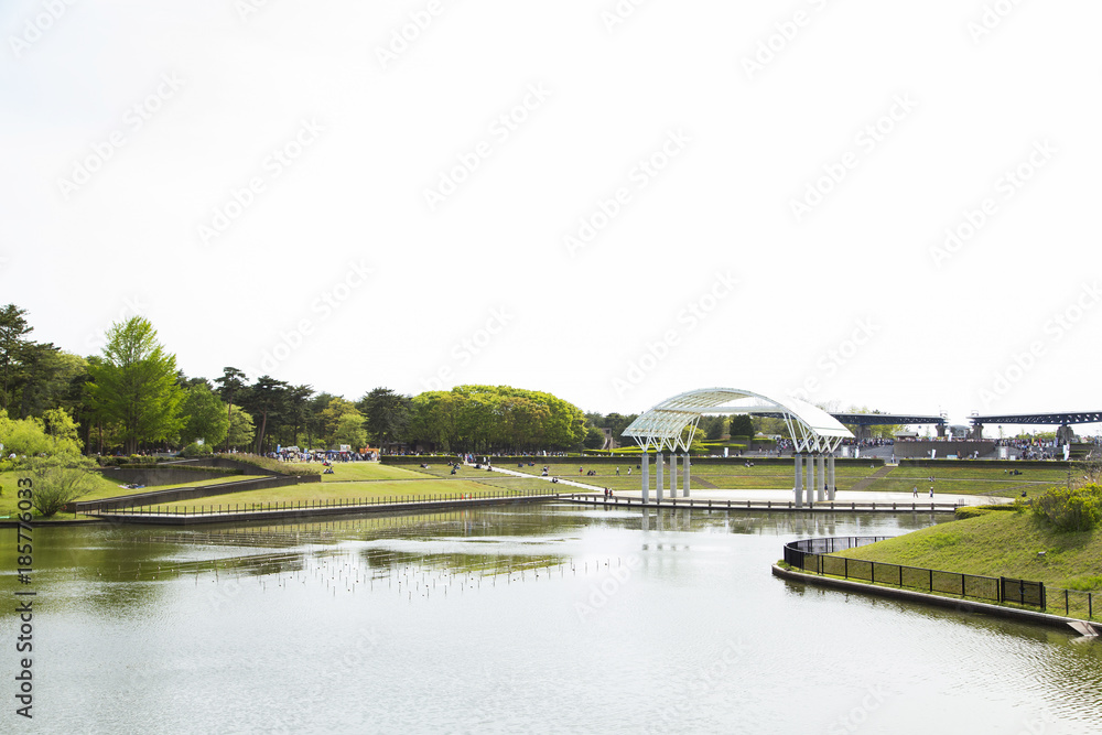 Fototapeta premium ひたち海浜公園 西池