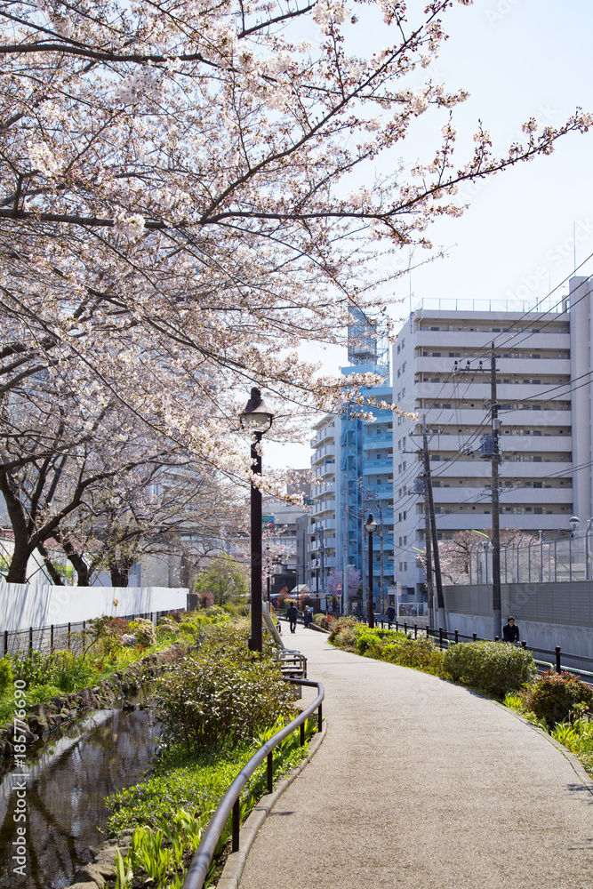 目黒川緑道 目黒川緑道