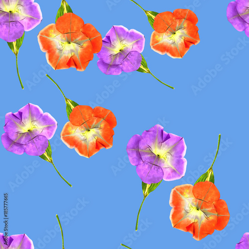 Petunia. Seamless pattern texture of flowers. Floral background, photo collage