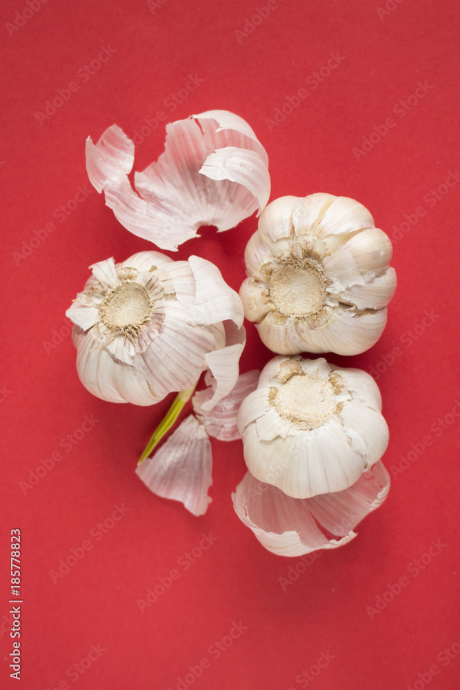 Obraz premium Garlic on red paper background