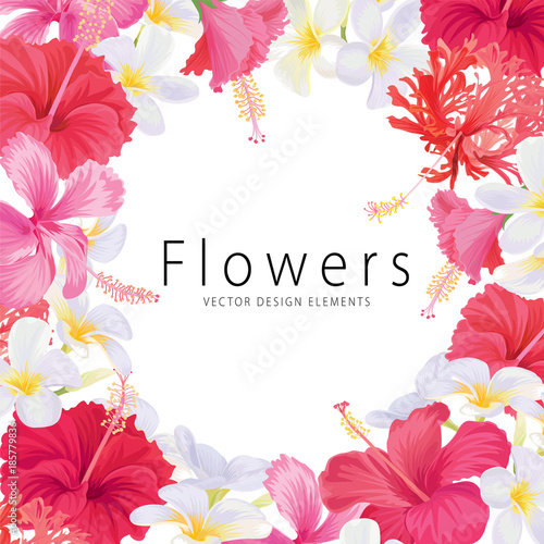 Floral frame with beautiful hibiscus syriacus and plumeria flowers on white background template. Vector set of blooming flower for wedding invitations and greeting card design. 