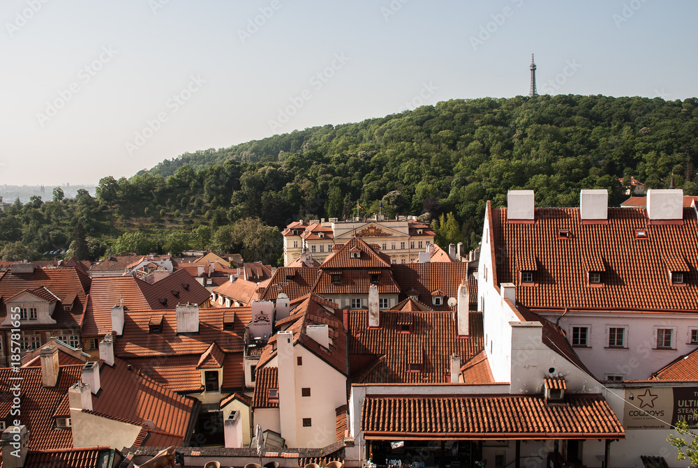 Historic Roofs