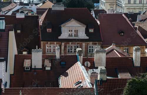 Historic Roofs