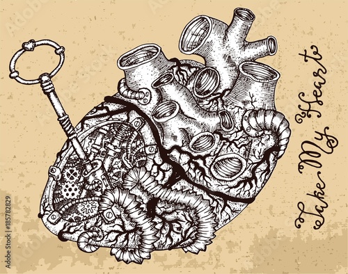 Drawing of human heart with key and steampunk mechanical parts on texture. Graphic design collection for antique decorations, card. Hand drawn vintage illustration with Valentine’s Day concept