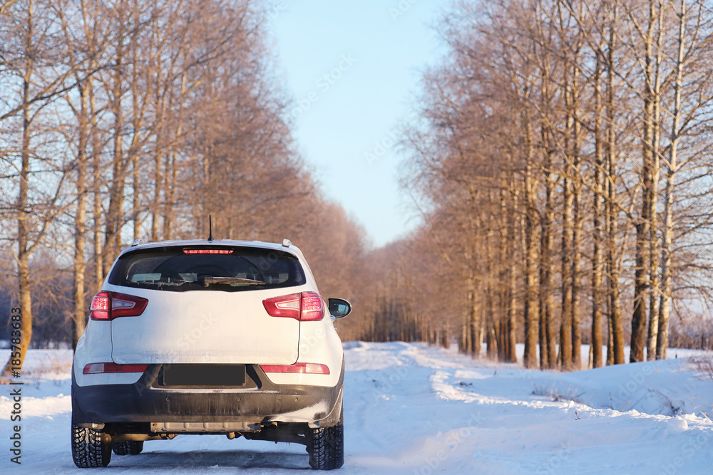 Winter landscape snow covered expanses. A park in the winter in the snow. Road on winter day. Winter landscape snow covered expanses. A park in the winter in the snow. Road on winter day.