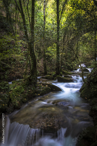 Sesin Creek Galicia Sain
