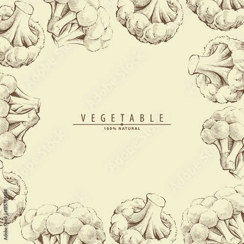 Broccoli or cauliflower background