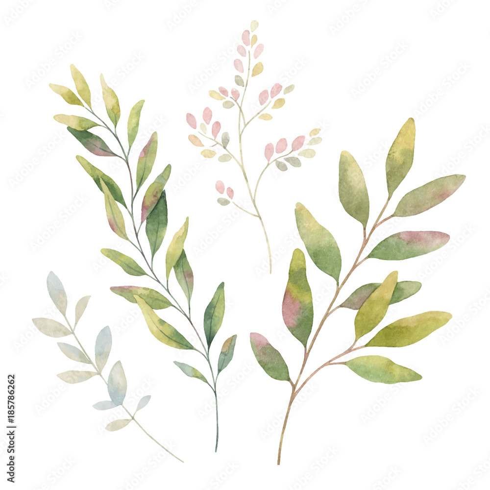 Hand drawn vector watercolor set green branches.