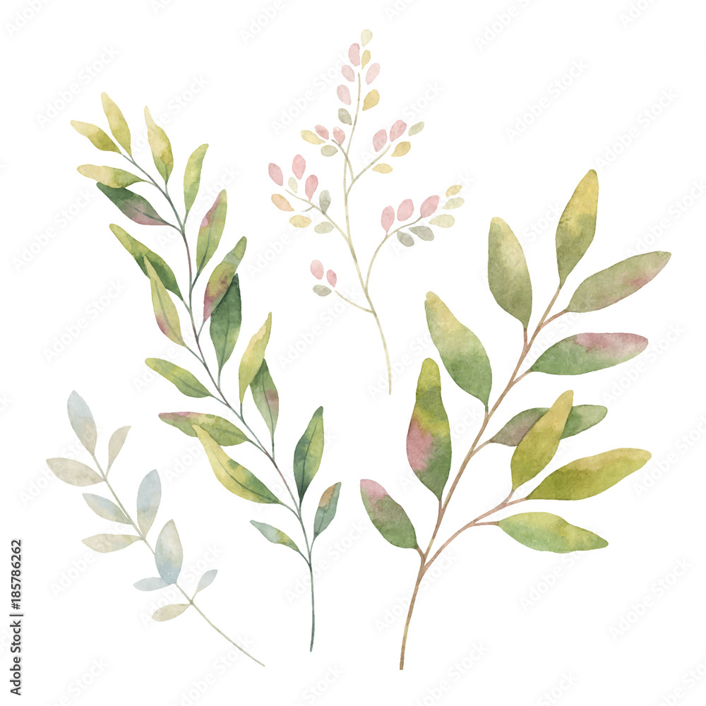 Fototapeta premium Hand drawn vector watercolor set green branches.